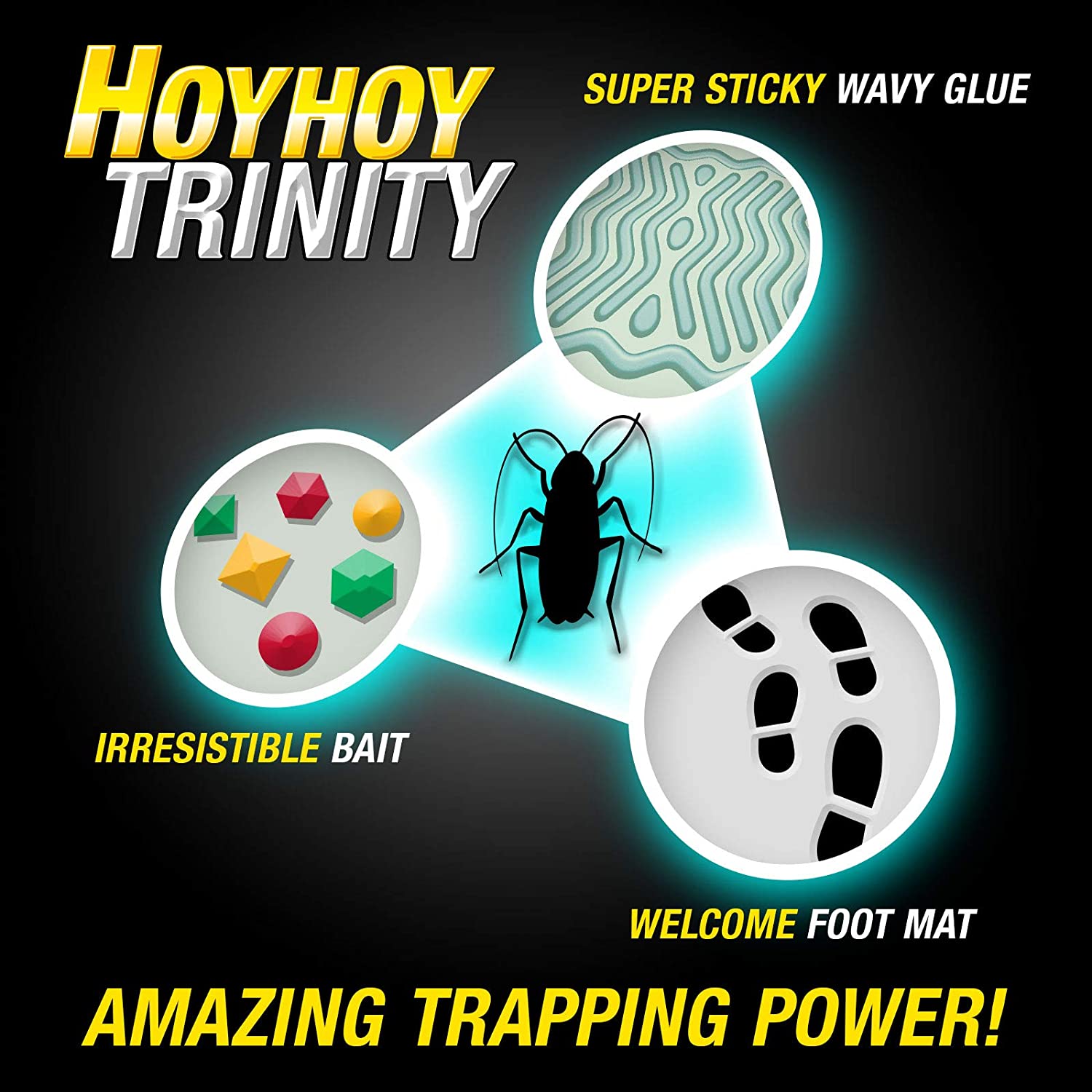 Hoy@hoy Insect HOY HOY Trap A Roach - 5 Traps - HOY HOY USA